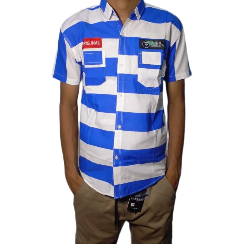 Men’s Casual Striped Shirt – Blue & White Stripes, Short Sleeve, Cotton Blend